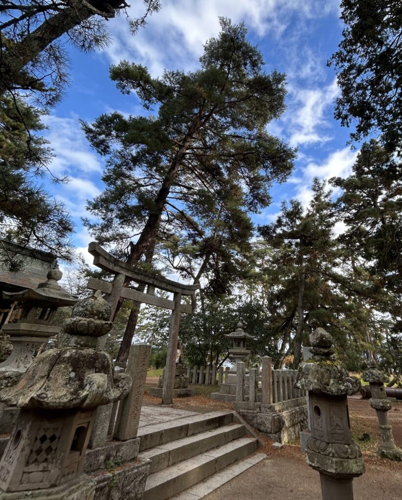 天橋立神社6