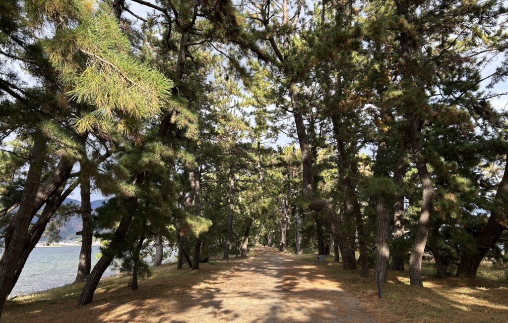 天橋立6
