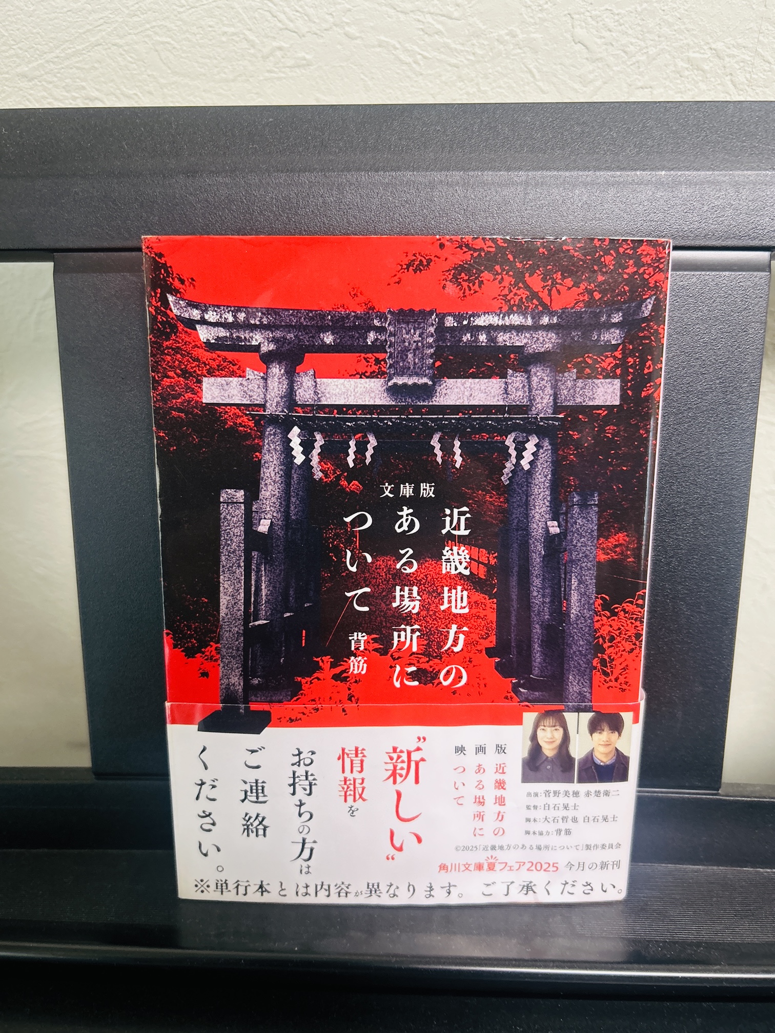 近畿地方のある場所について