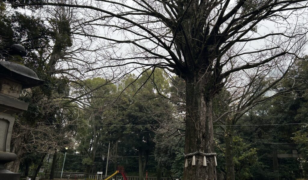 赤坂氷川神社